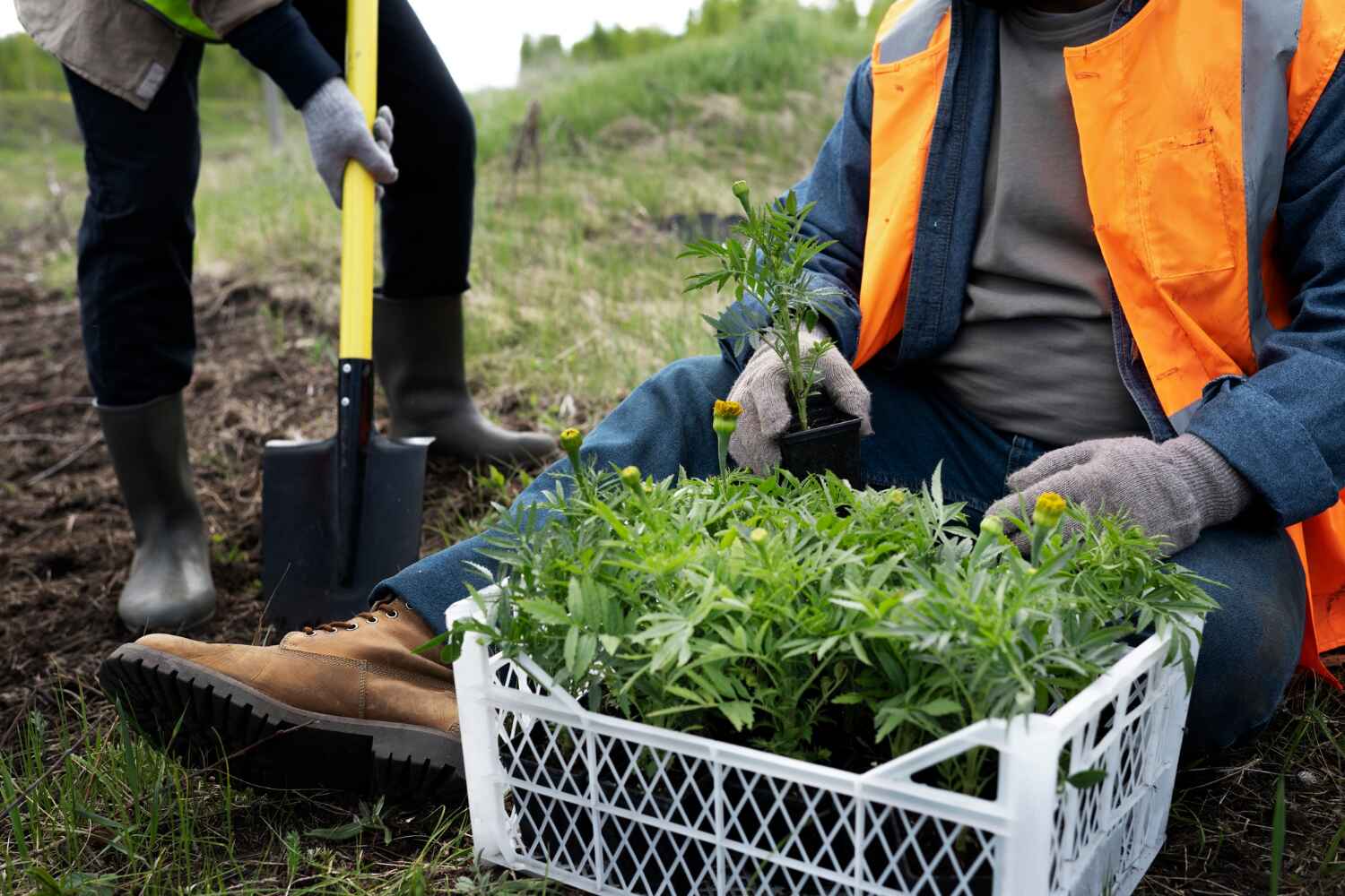 Best Emergency Tree Service  in Madeira Beach, FL